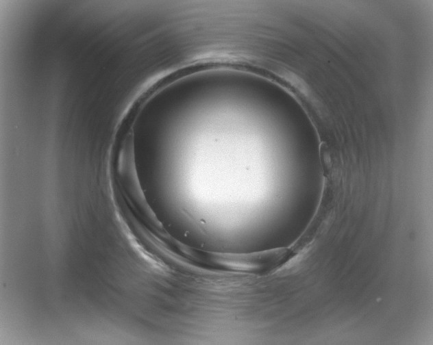 X0000068811030200605081114