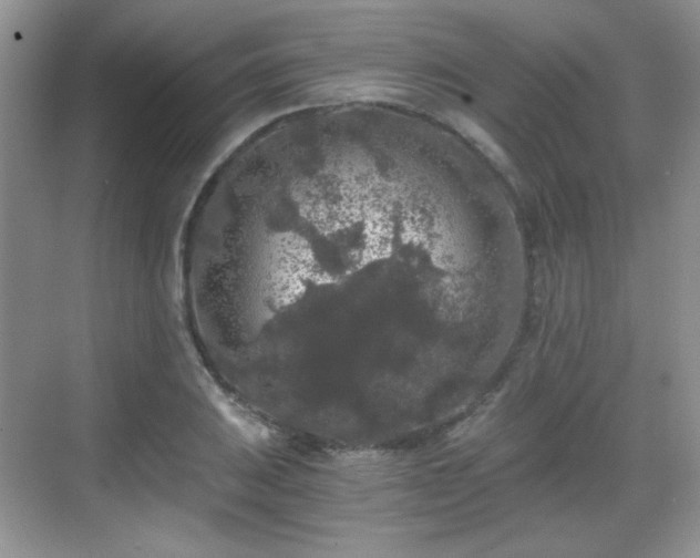 X0000068811031200605081114