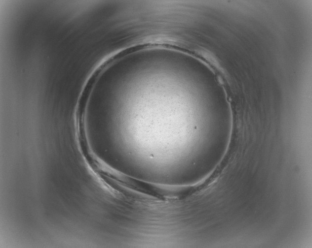 X0000068811032200605081114