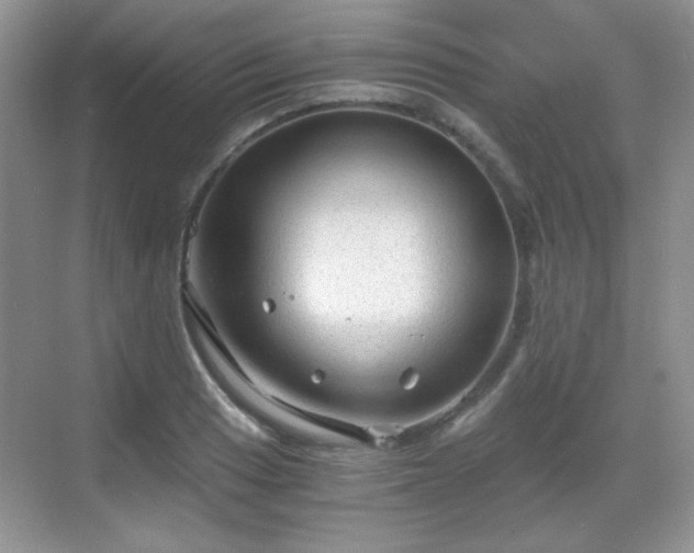 X0000068811033200605081114