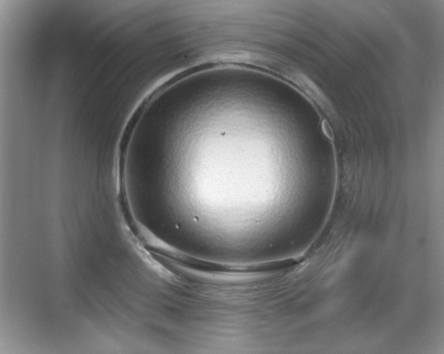 X0000068811036200605081114