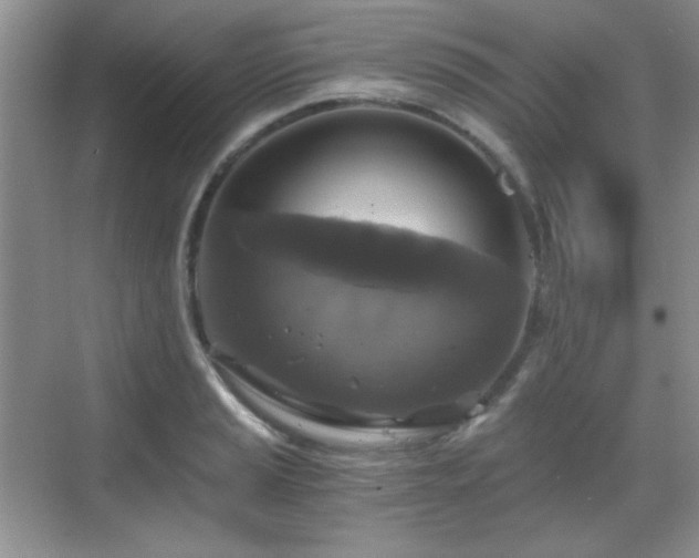 X0000068811037200605081114