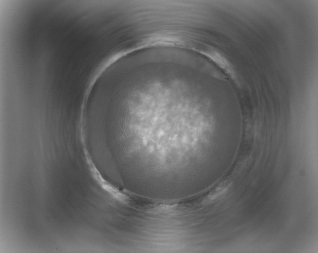 X0000068811038200605081114