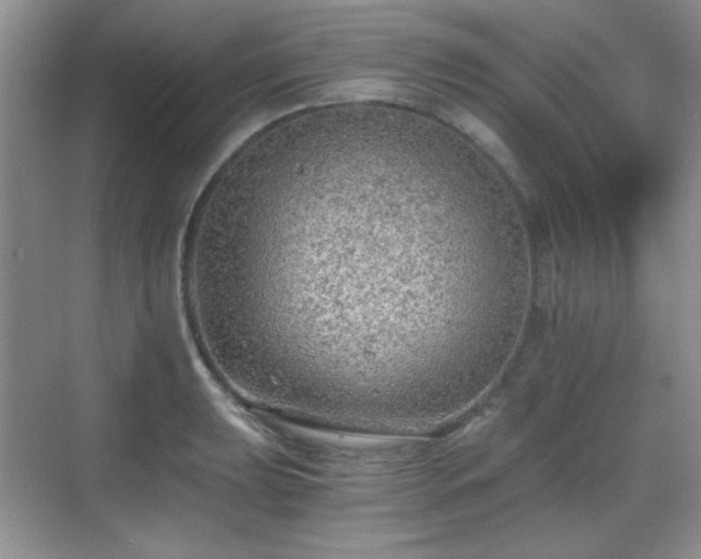 X0000068811039200605081114