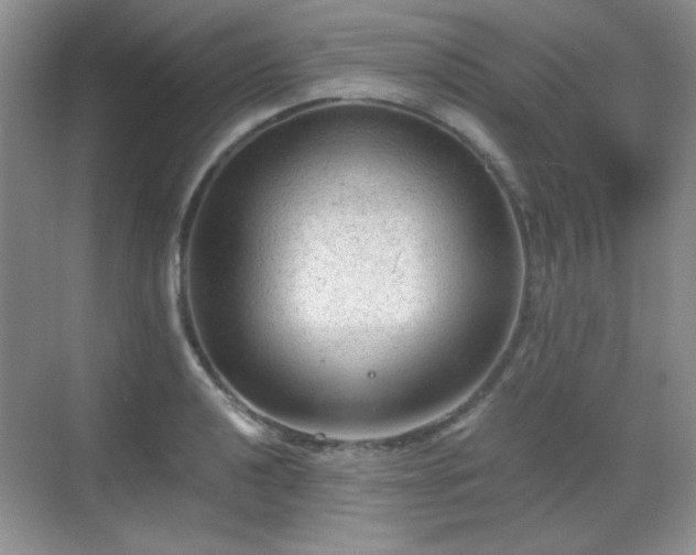 X0000068811040200605081114