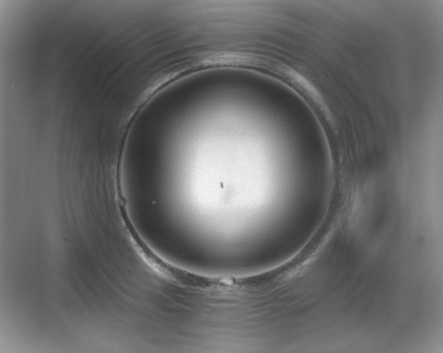 X0000068811041200605081114