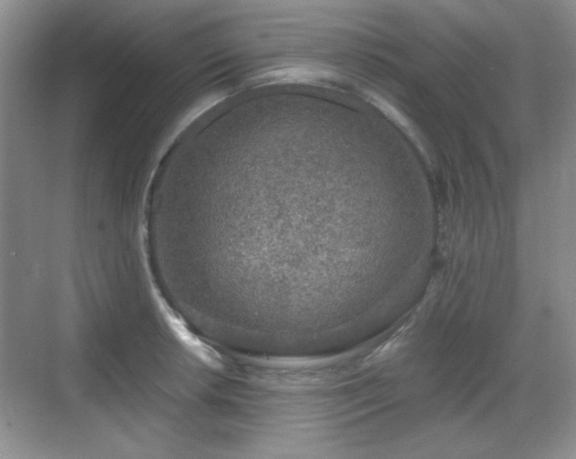 X0000068811042200605081114