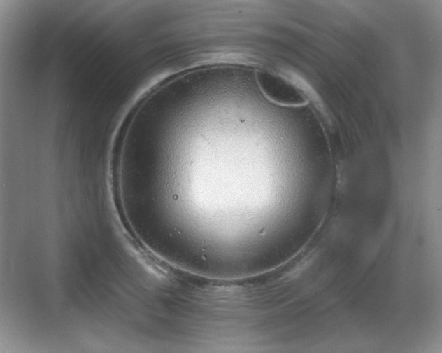 X0000068811043200605081114