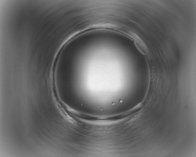 X0000068811044200605081114