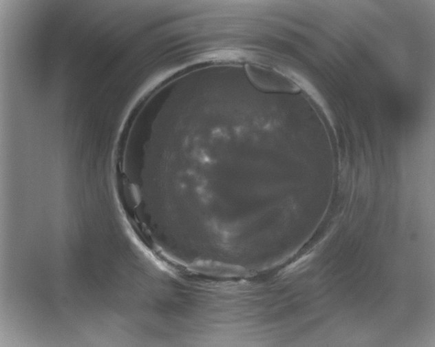 X0000068811045200605081114