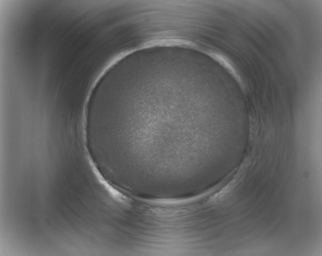 X0000068811046200605081114