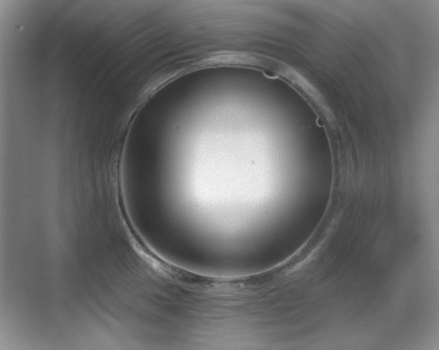 X0000068811049200605081114