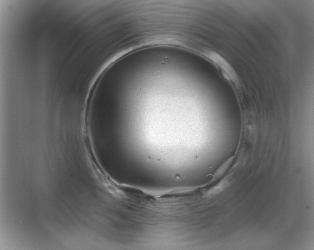 X0000068811052200605081114