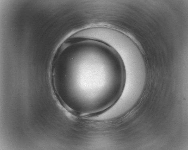 X0000068811054200605081114