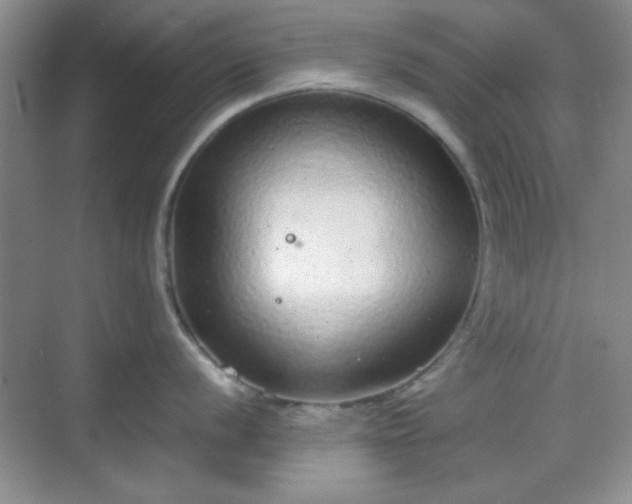 X0000068811056200605081114