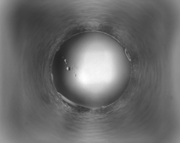 X0000068811057200605081114