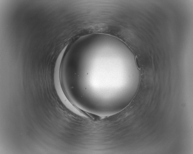 X0000068811058200605081114