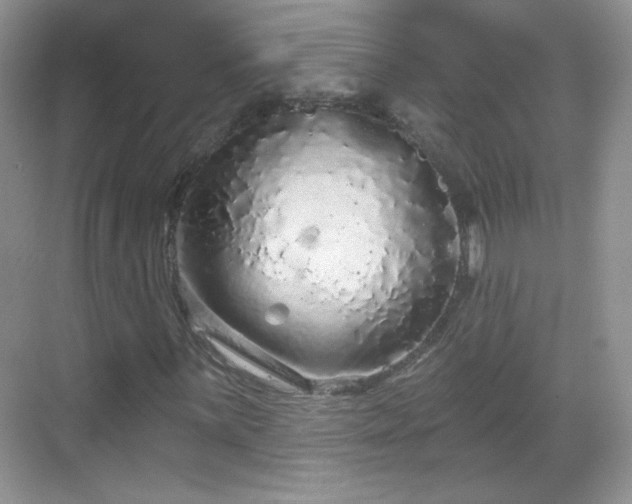 X0000068811059200605081114