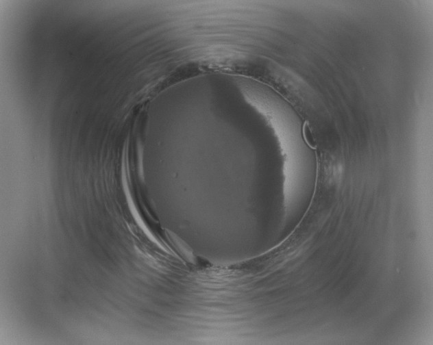 X0000068811060200605081114