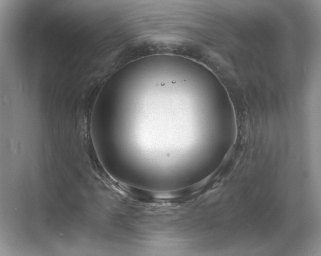 X0000068811061200605081114