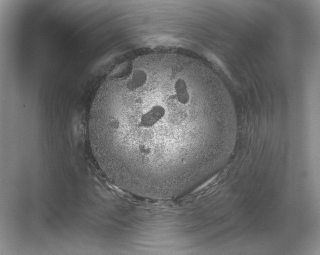 X0000068811063200605081113