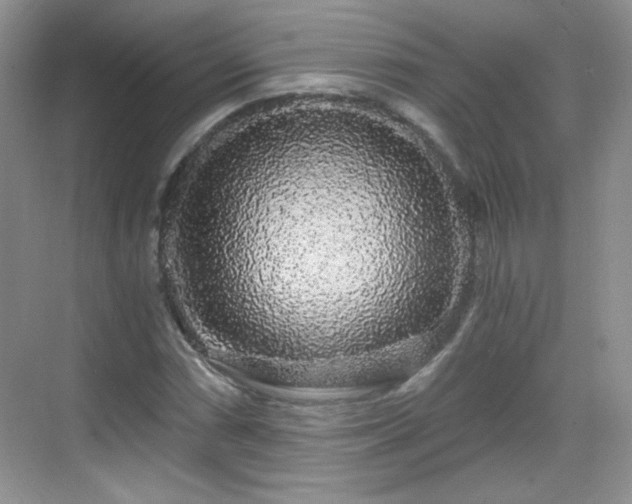 X0000068811066200605081113