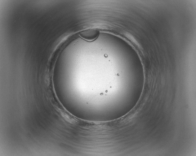 X0000068811067200605081113