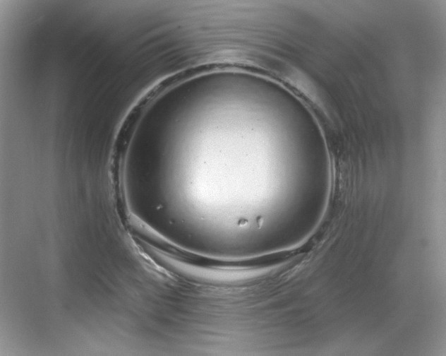 X0000068811068200605081113