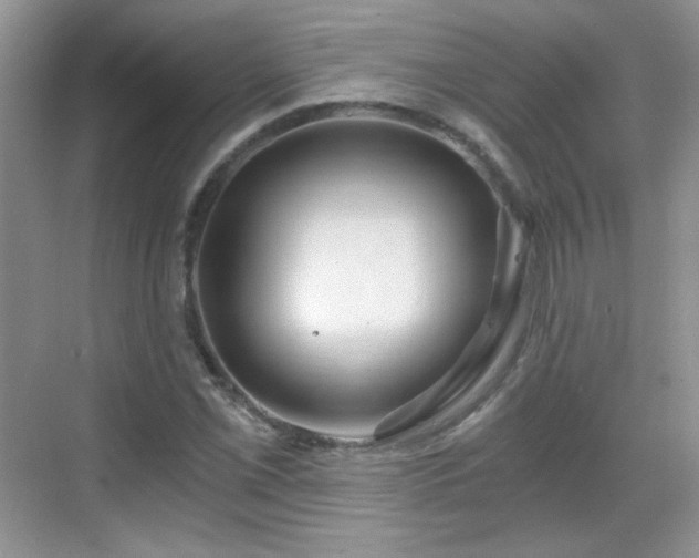 X0000068811069200605081113