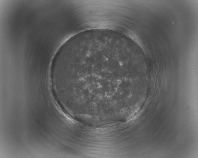 X0000068811071200605081113