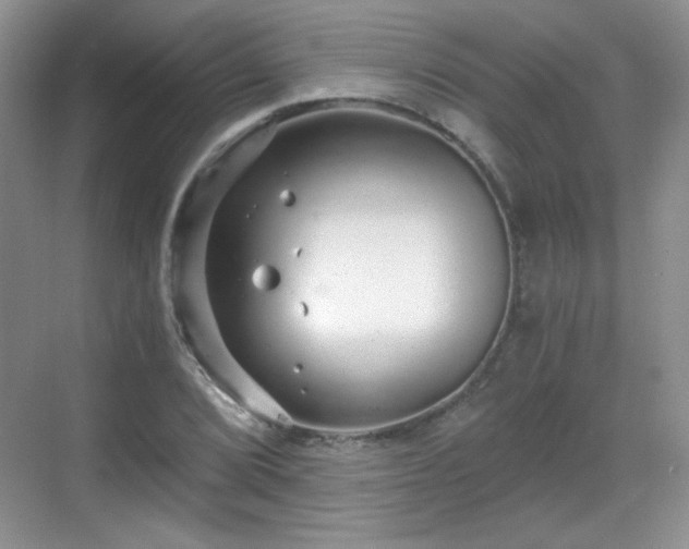 X0000068811072200605081113