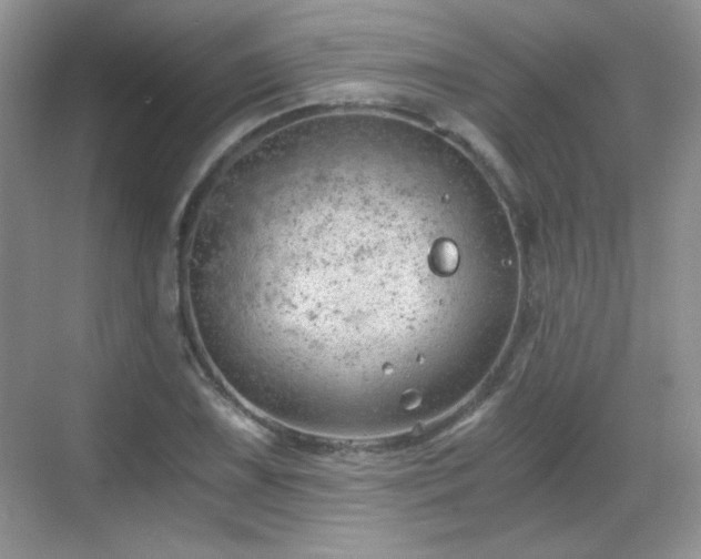 X0000068811075200605081113