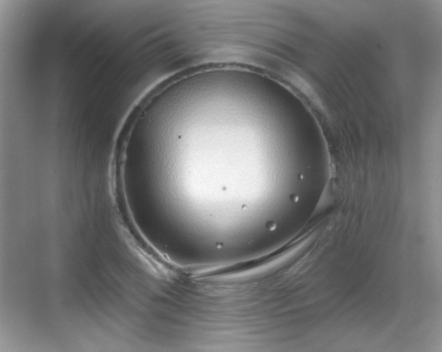 X0000068811076200605081113