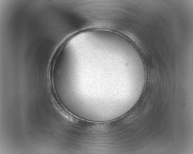 X0000068811078200605081113