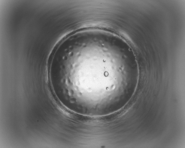 X0000068811079200605081113