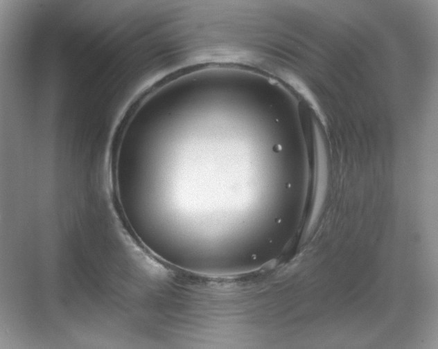 X0000068811080200605081113