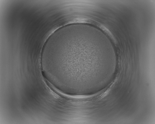 X0000068811081200605081113