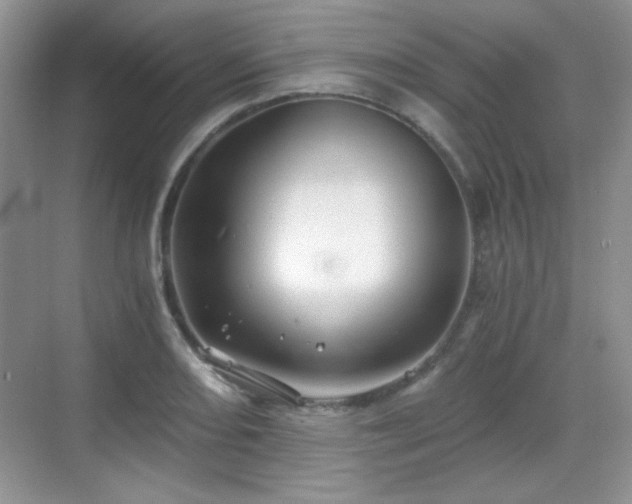 X0000068811082200605081113