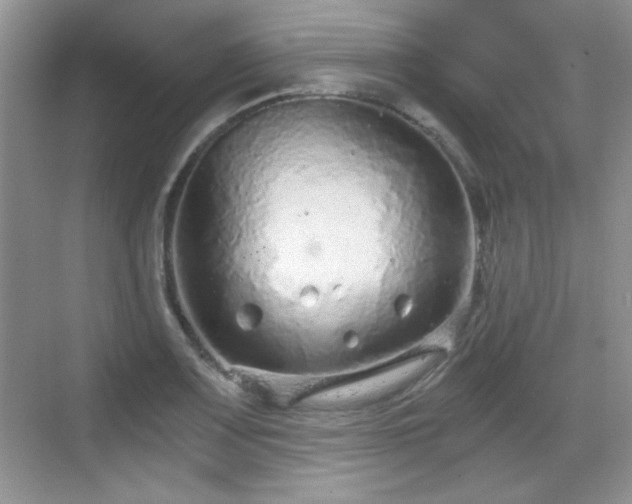 X0000068811083200605081113