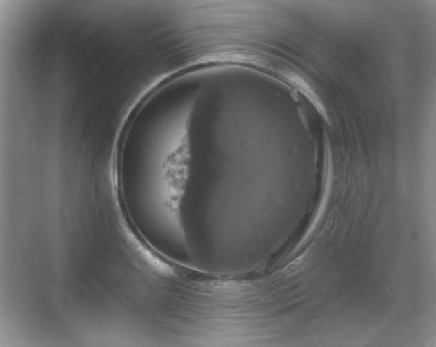 X0000068811084200605081113