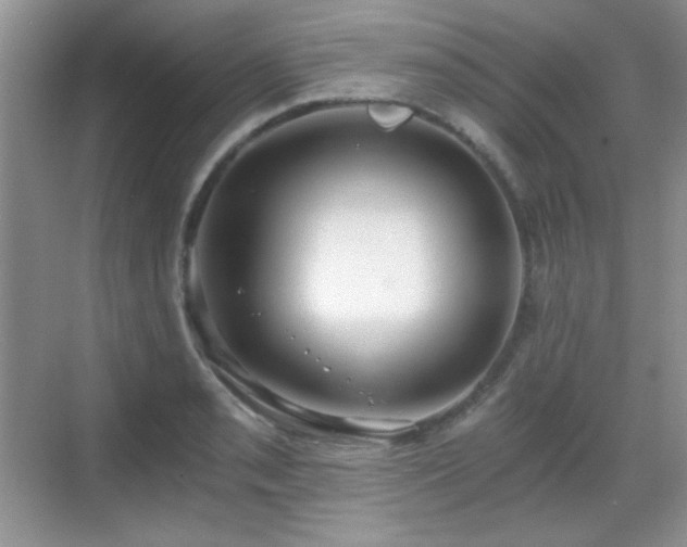 X0000068811085200605081113