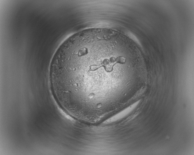 X0000068811087200605081113