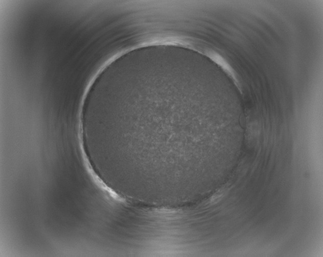 X0000068811088200605081113