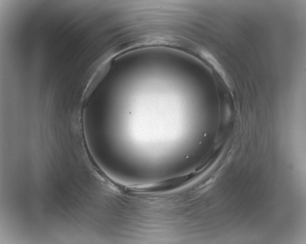 X0000068811089200605081113