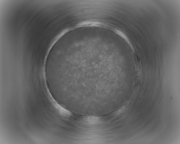 X0000068811090200605081113