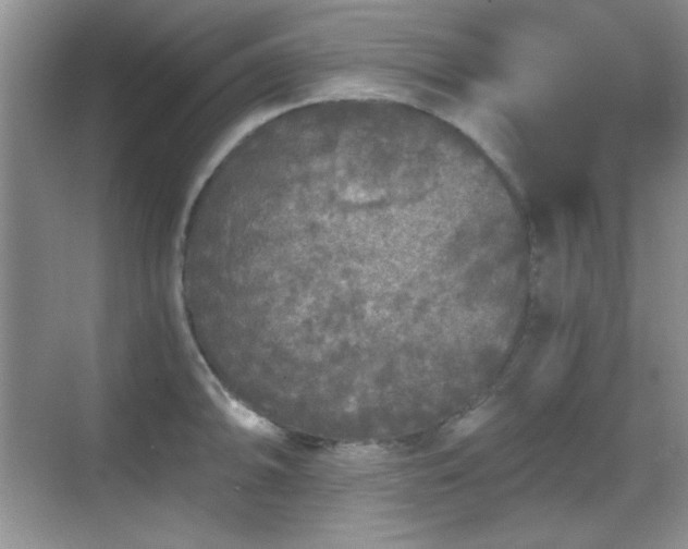 X0000068811094200605081113