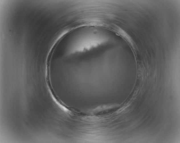 X0000068811095200605081113