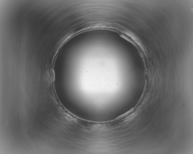 X0000068811097200605081113