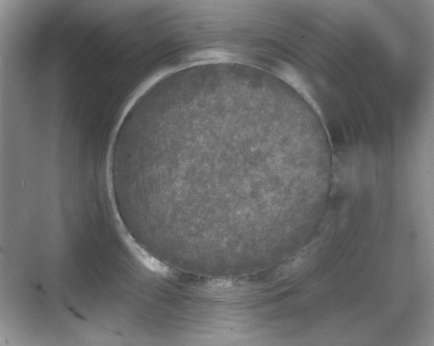 X0000068811098200605081113