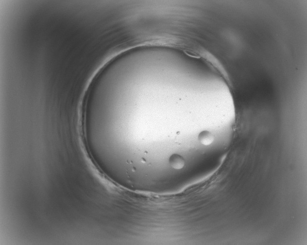 X0000068811099200605081113